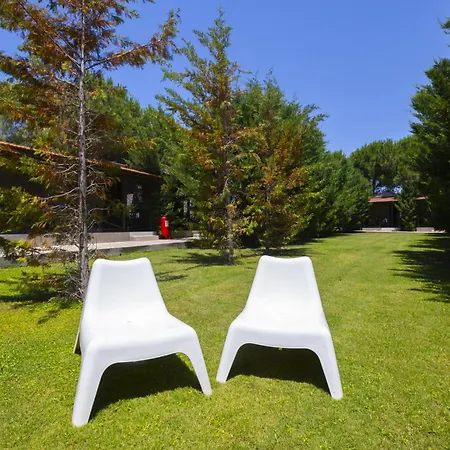 Aegean - * アラカティ