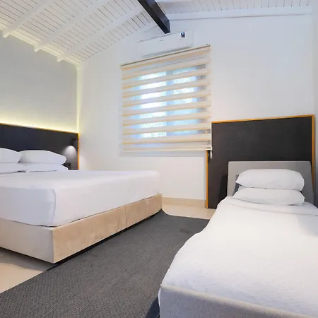 Aegean - アラカティ